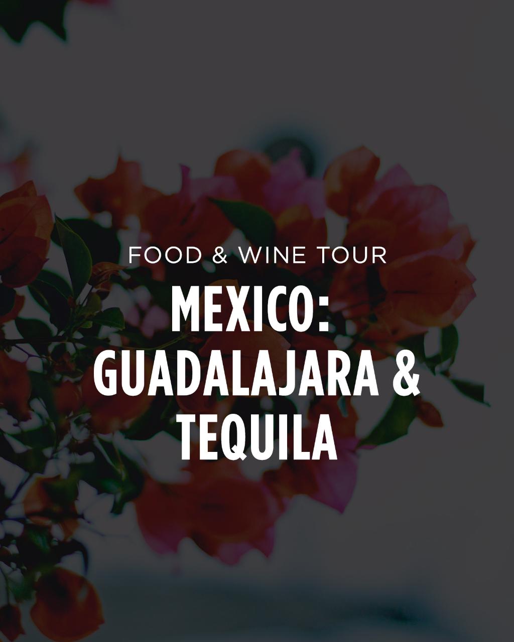 Mexico Food & Cocktail Tour || Guadalajara & Tequila