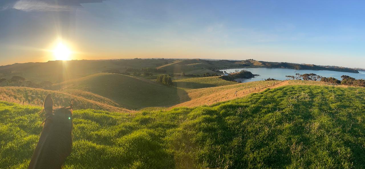 Bayly's Coastal and Farm ride