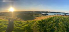 Bayly's Coastal and Farm ride