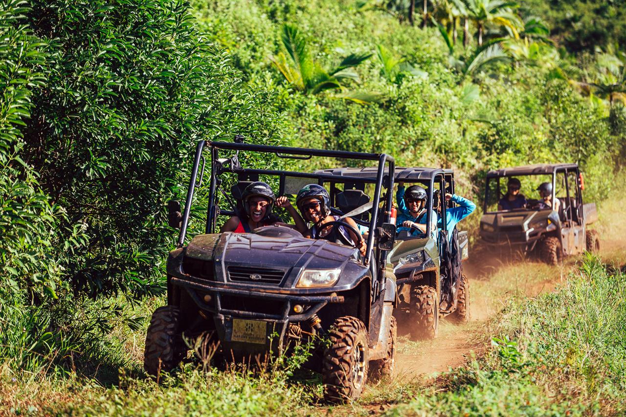 Family Eco-Buggy Frédérica Nature Reserve