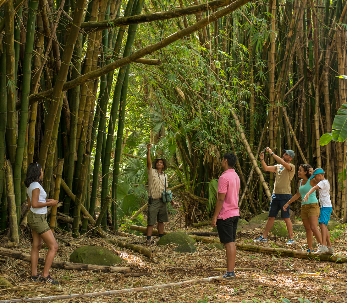 Picnic in Frédérica Nature Reserve