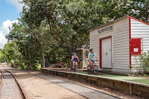 The Best Bits- Twin Coast Cycle Trail 2 Day Experience