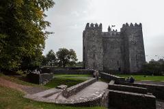 Acantilados de Moher y Castillo de Bunratty - TOUR EN ESPANOL