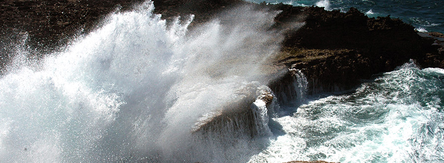 Breath of Curacao Outback Safari