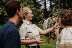 Morning Walking Tour & Fruit Tasting