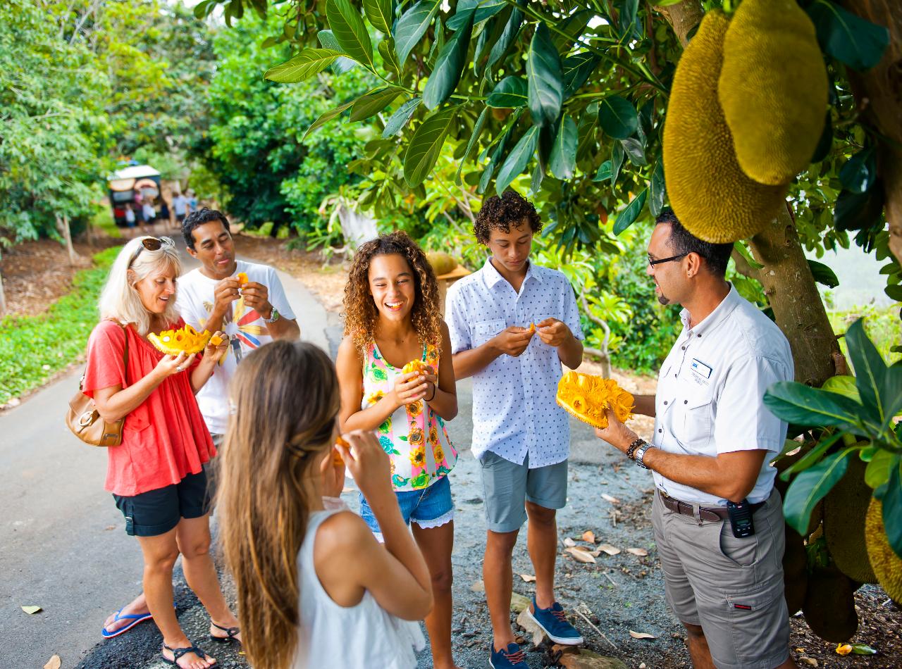 TROPICAL FRUIT WORLD FARM TOUR 