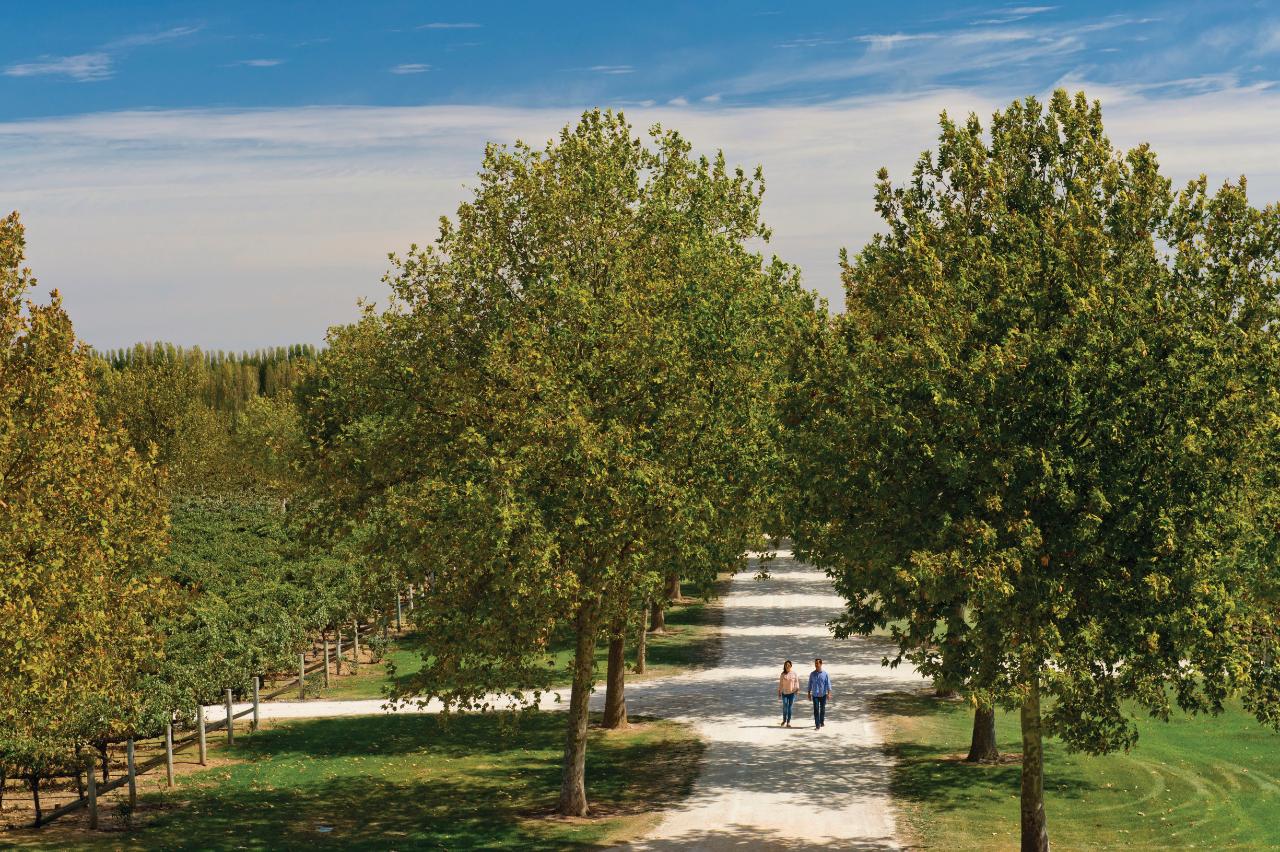 Leroy's Coonawarra Wine Experience Tour (Min 2 - Max 10 passengers)