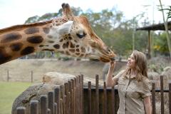 Croc Tours Transfer & Entry Adventure (GOLD COAST)