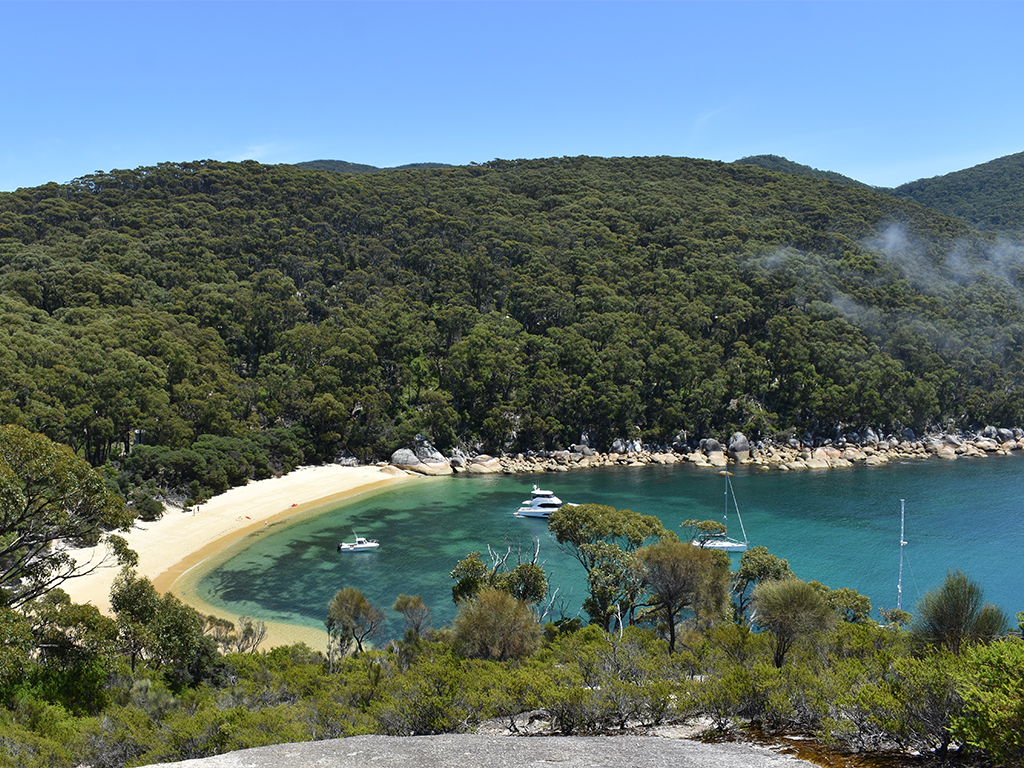 Wilsons Prom Cruise Refuge Cove Cruises Reservations