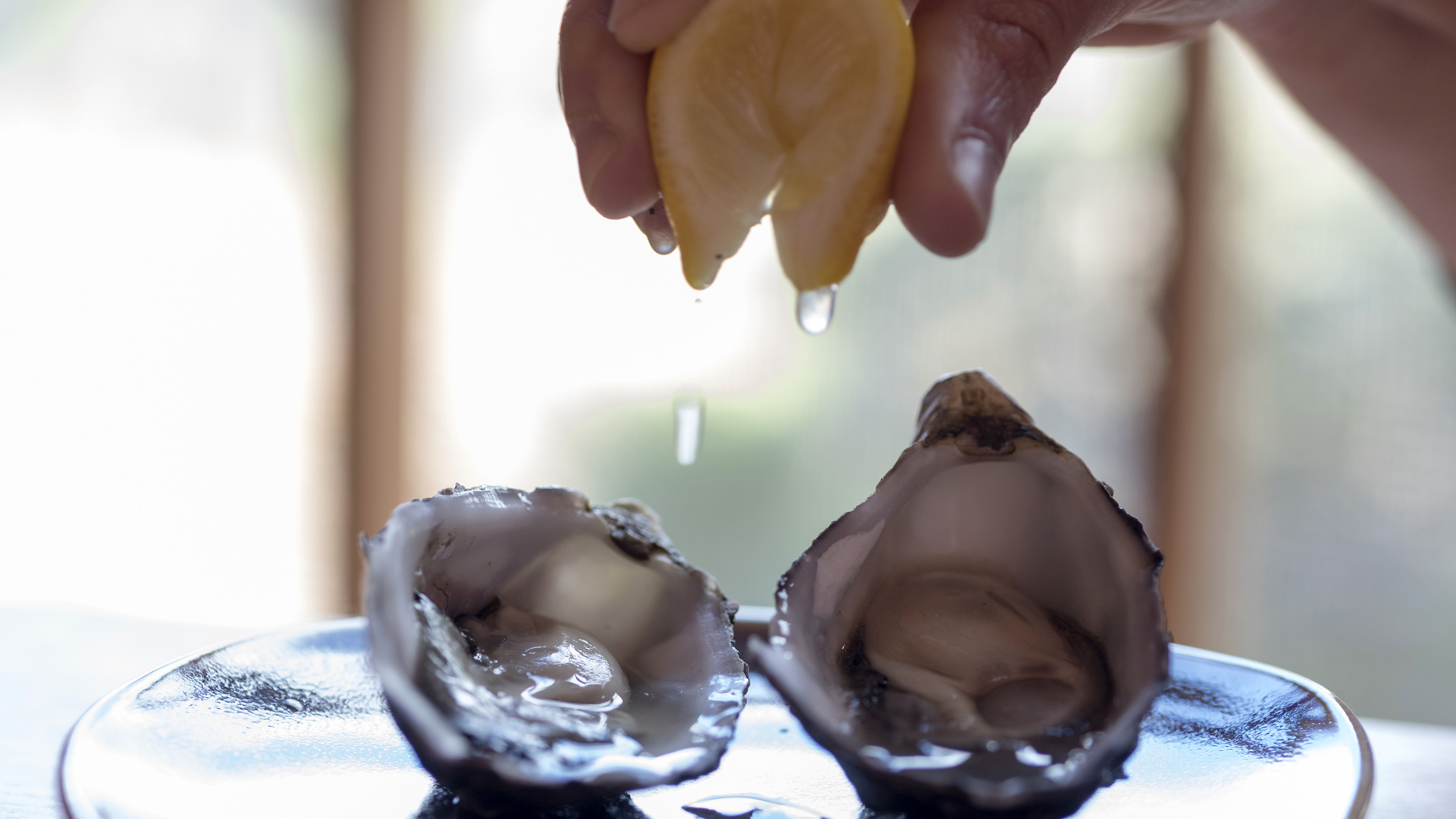 wukalina Walk 1 April 2021 to 31 March 2023