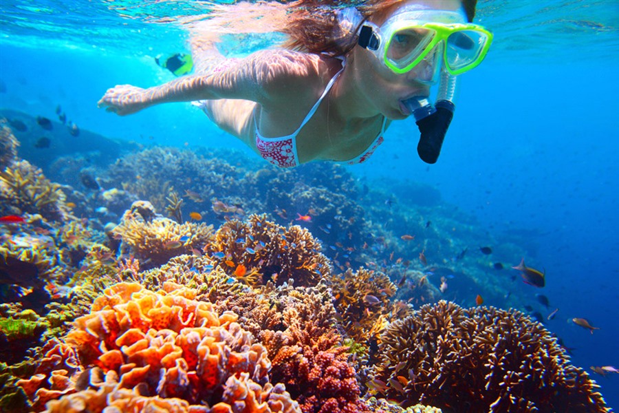 4hr Adventure Tour & BBQ Lunch