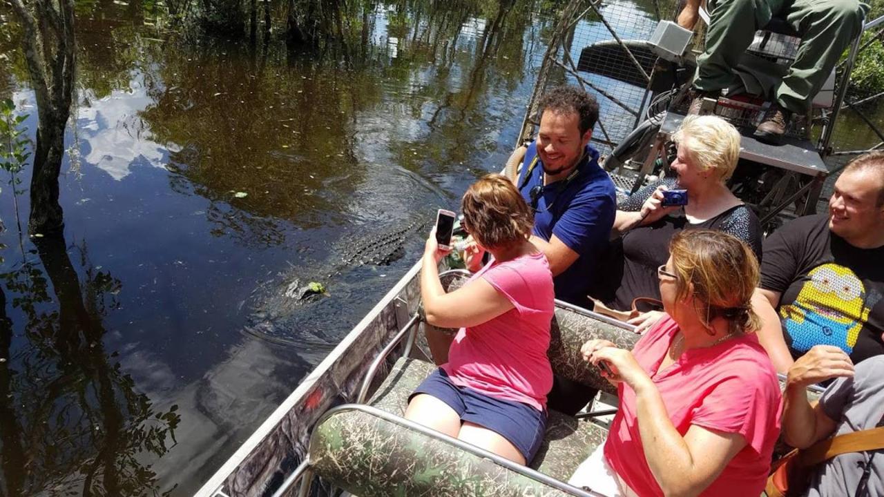 Classic Everglades Propellerboat & Wildlifeshow mit pick up auf Deutsch