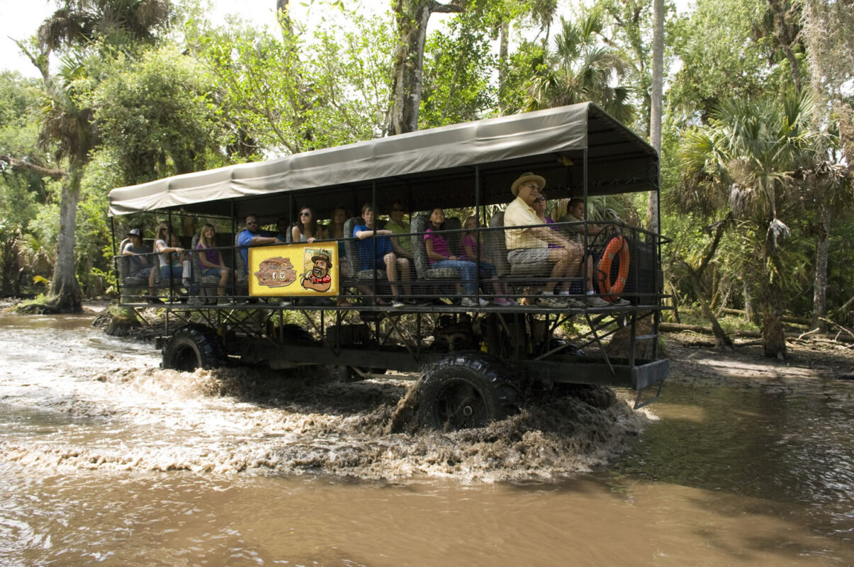 Private 4-Hour Big Cypress Buggy Safari in the Everglades