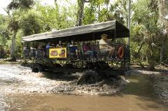 Private 4-Hour Big Cypress Buggy Safari in the Everglades