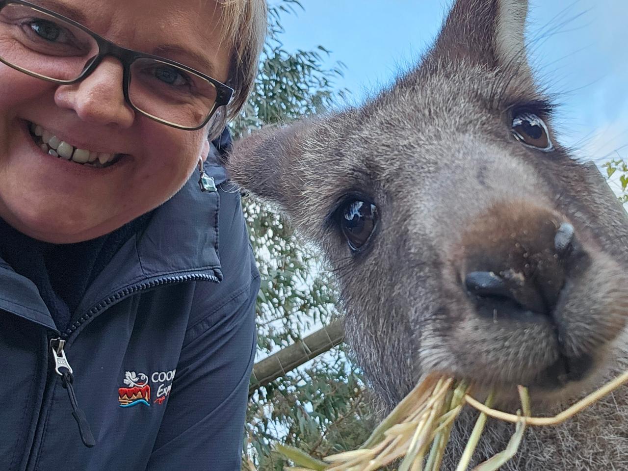 Caves, Cabernet, & Kangaroos