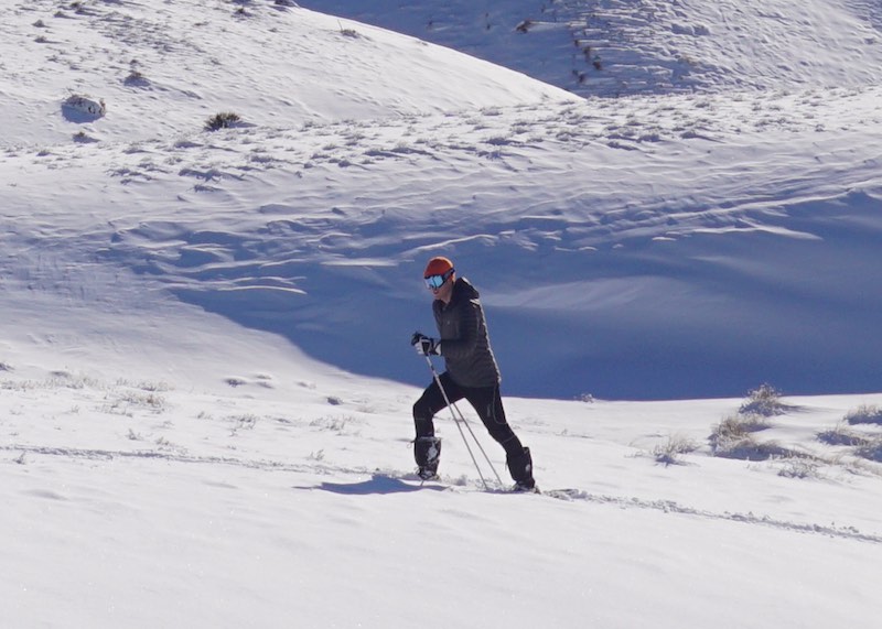 Bus Transport & Snow Shoe Experience