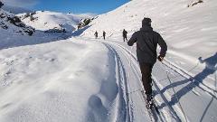 Three Half Day Multi - XC Ski Trail Pass and Rentals