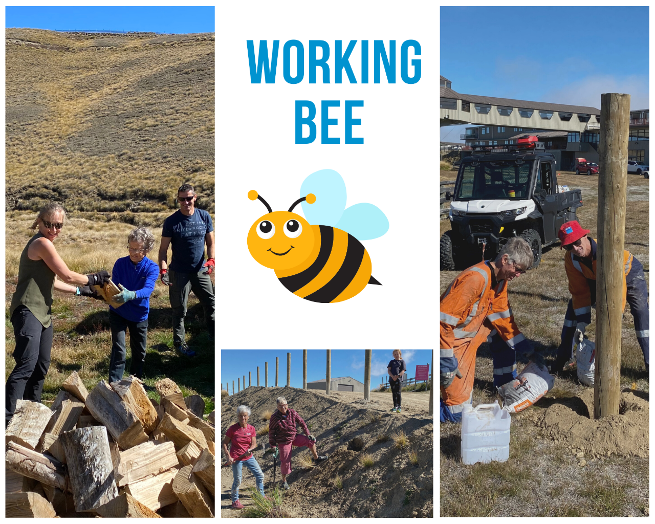 Volunteer Working Bee