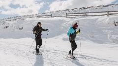 Overnight Snowshoe Trail Pass and Rental Package