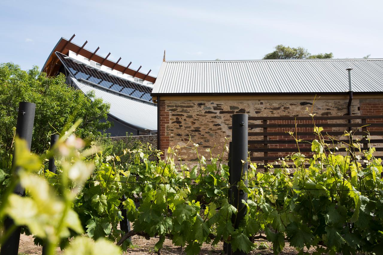 Taste of south australia guided tour and tasting national wine centre