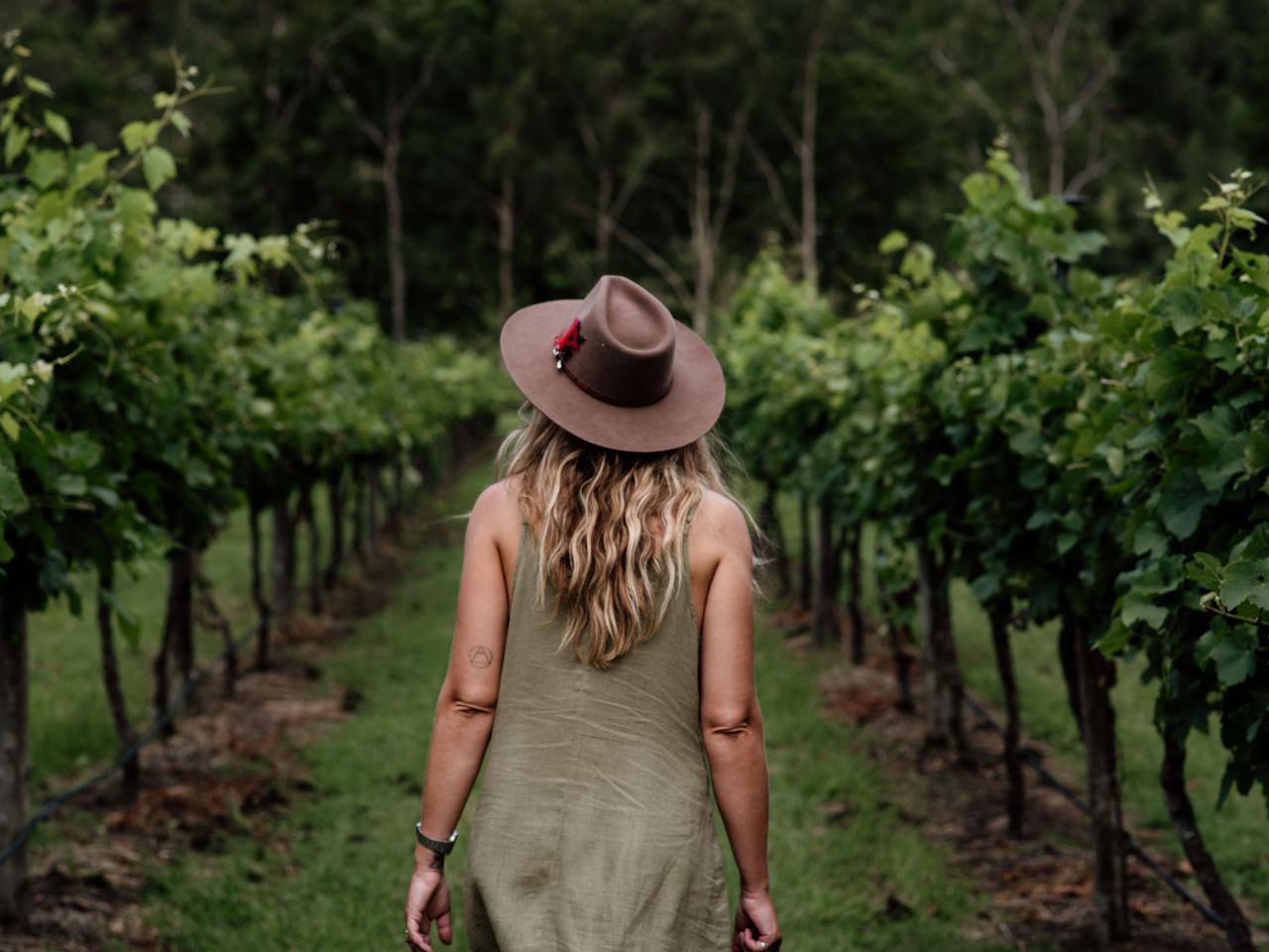 Hop on Hop off Wine Tasting Tour - From Gold Coast