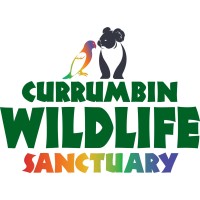 Private Tour – Currumbin Wildlife Sanctuary