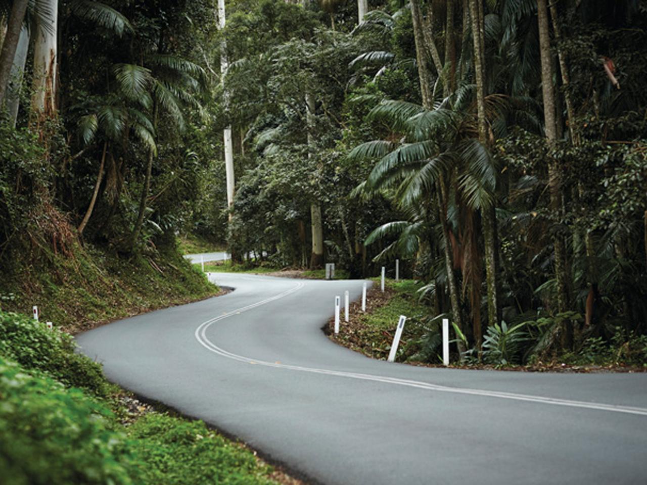 Pineapple Tours - Luxury Tours and Experiences: Tamborine Mountain Wine Tasting Tour — From Brisbane - Photo 3