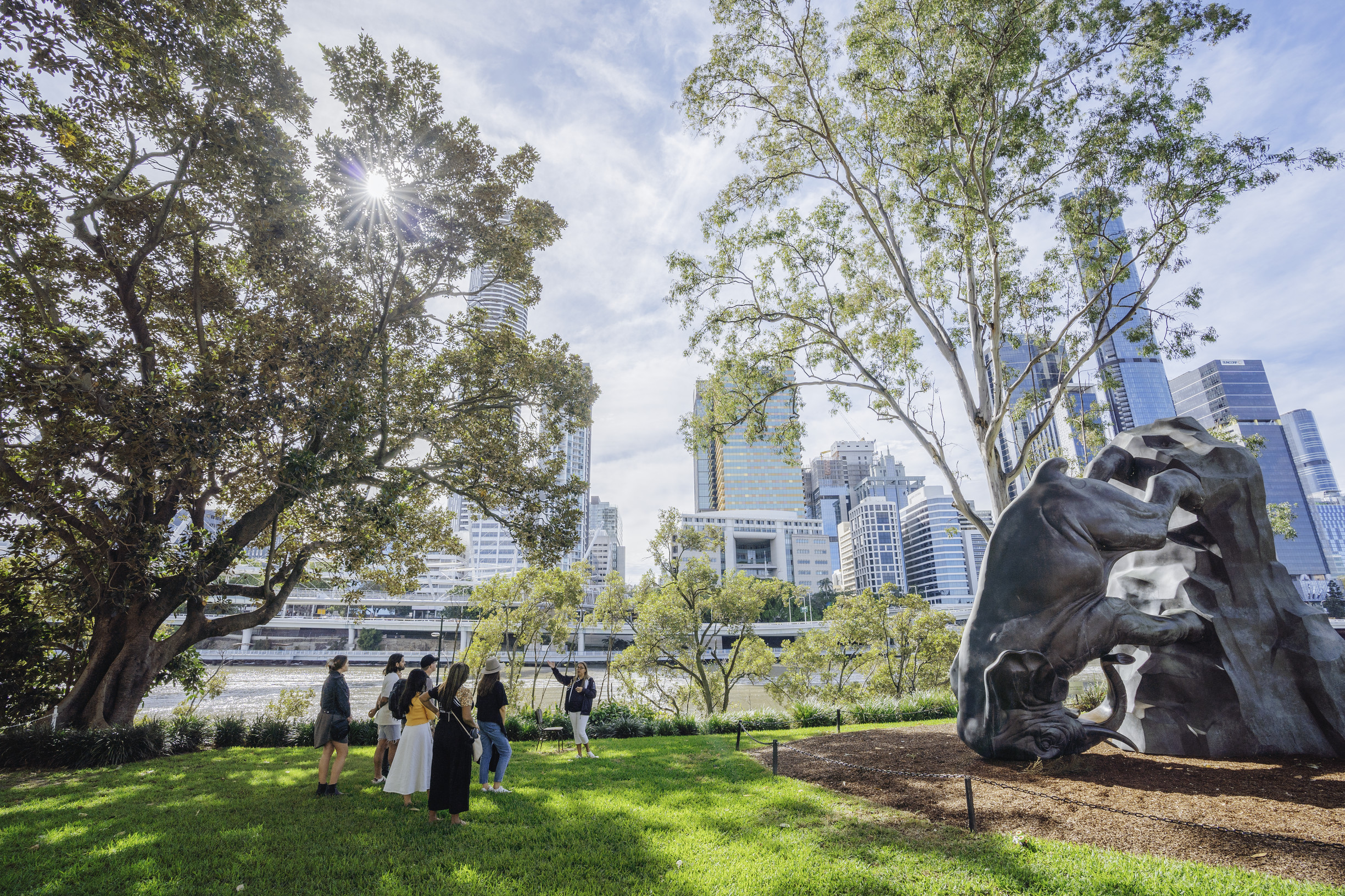 Hop on Hop off Bus - Single Trip Brisbane City Loop + Unlimited Pass around around Tamborine Mountain