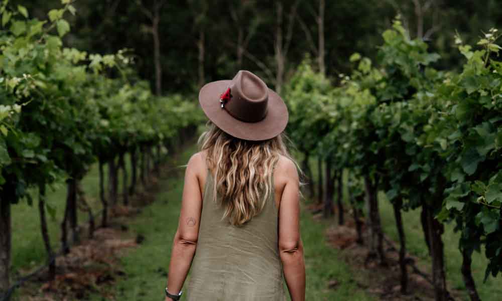Gold Coast Full Day Wine Tour