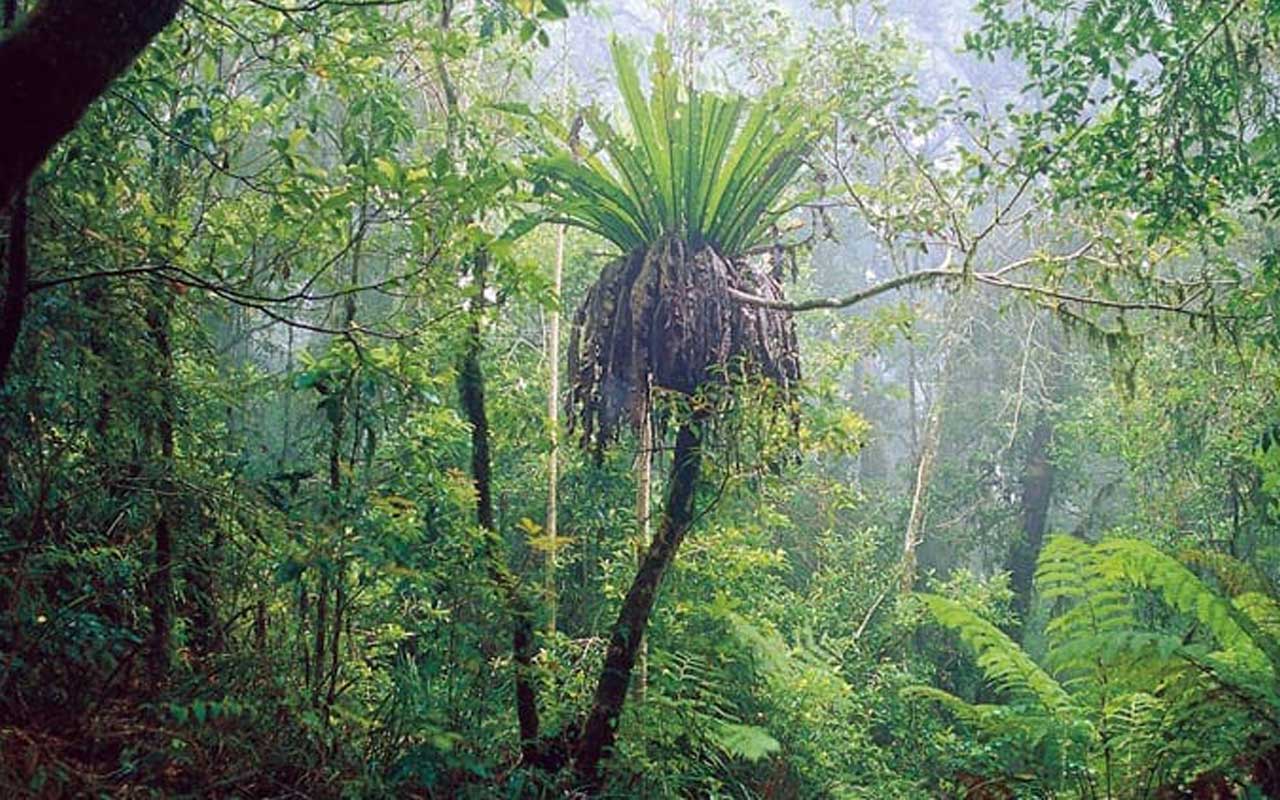 Hinterland Explorer Multi Day Pass