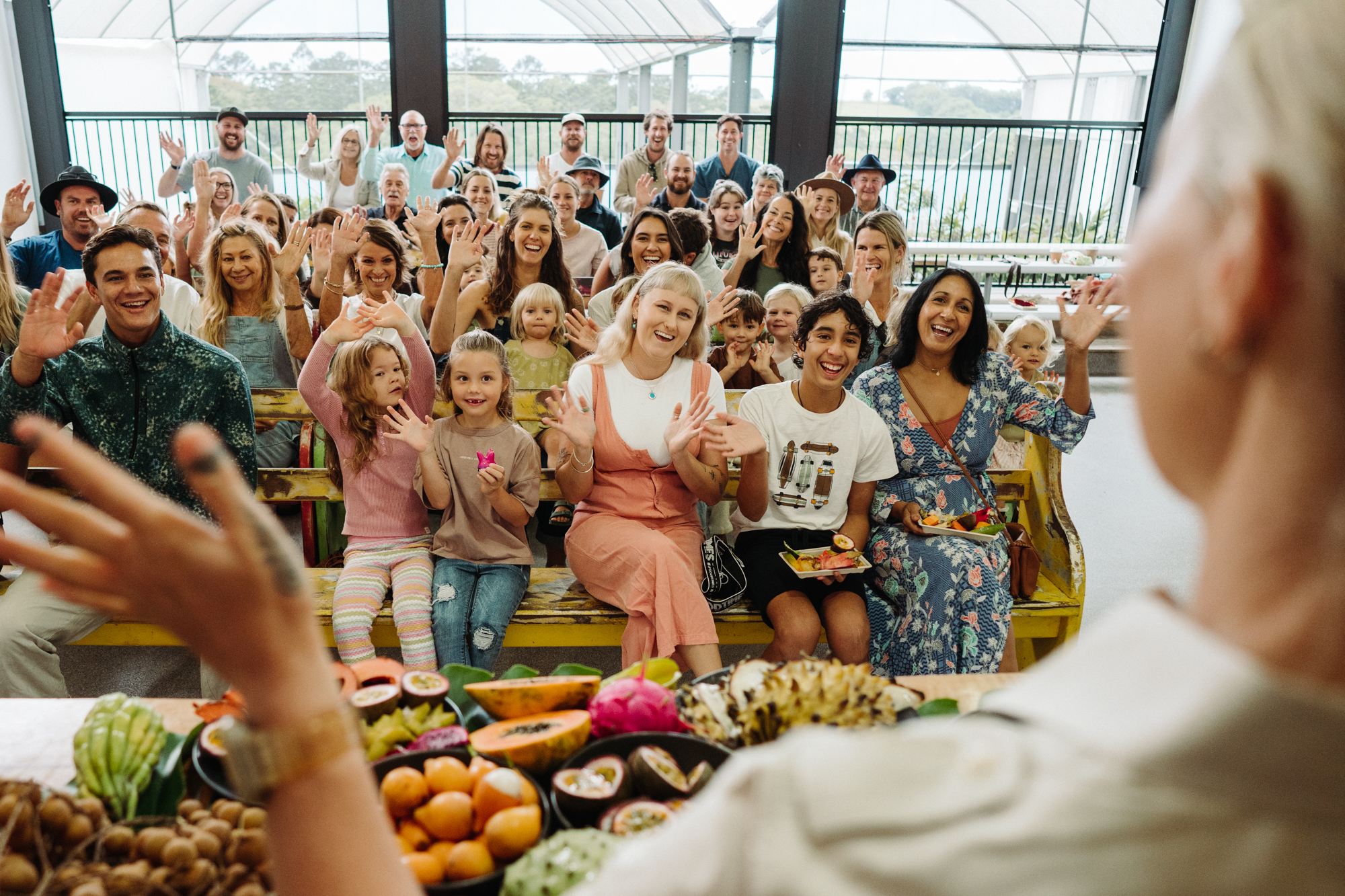 Gold Coast to Northern Rivers Rail Trial + Hop on Hop off