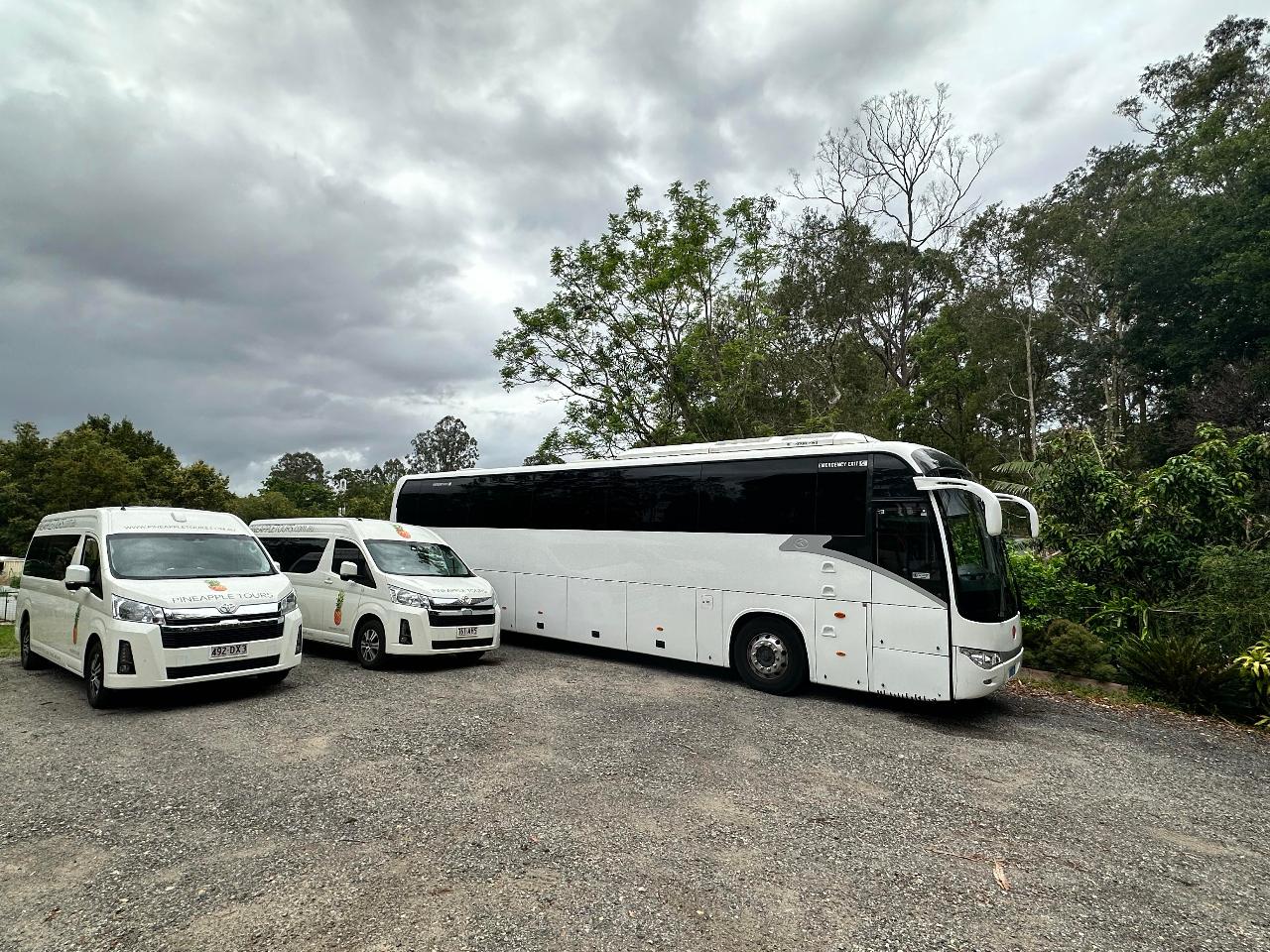 BW Tastes of Tamborine