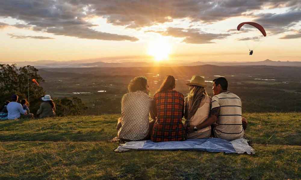 Full Day Mount Tamborine Winery Tour - Gold Coast Pickup