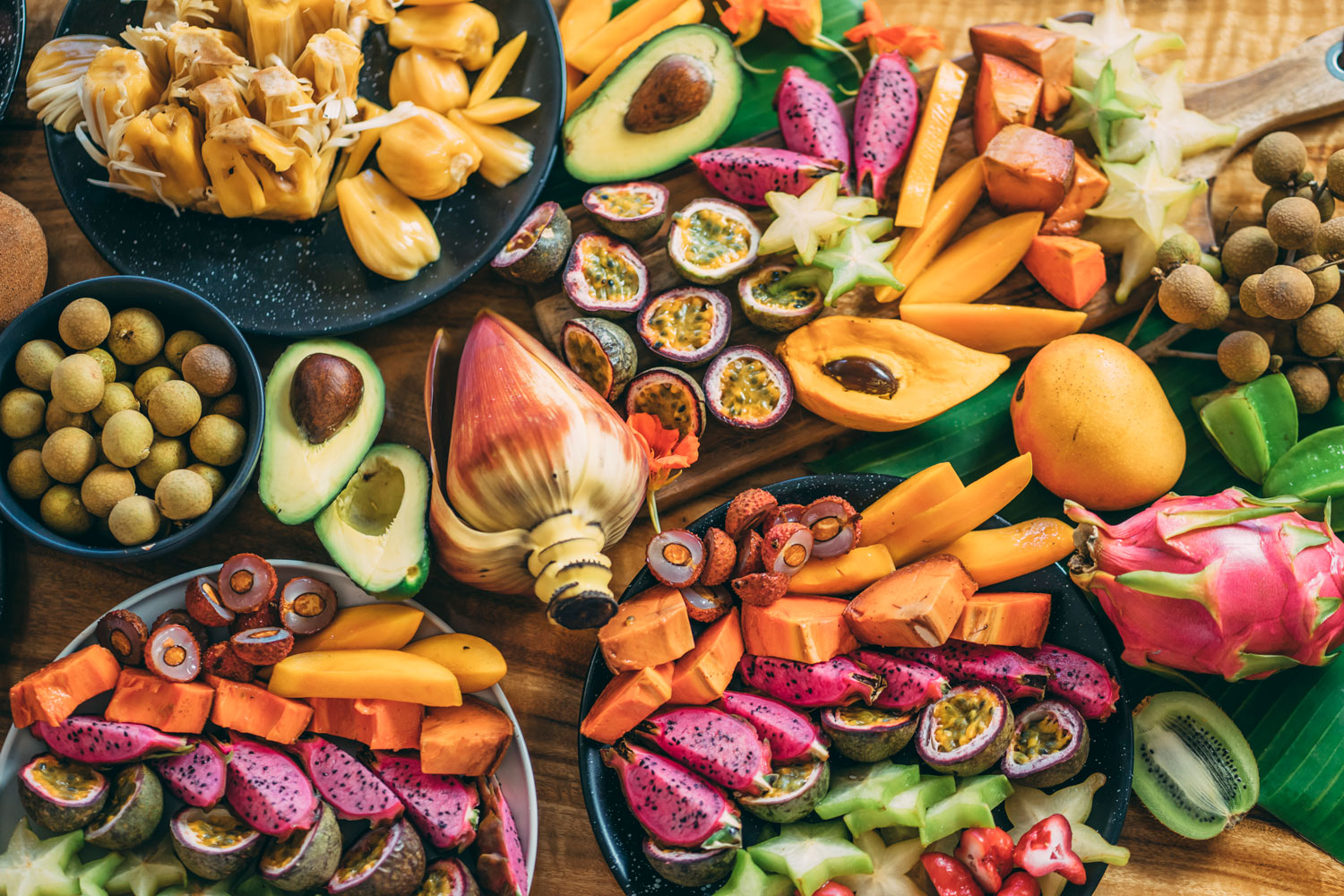 Gold Coast to Northern Rivers Rail Trial + Hop on Hop off