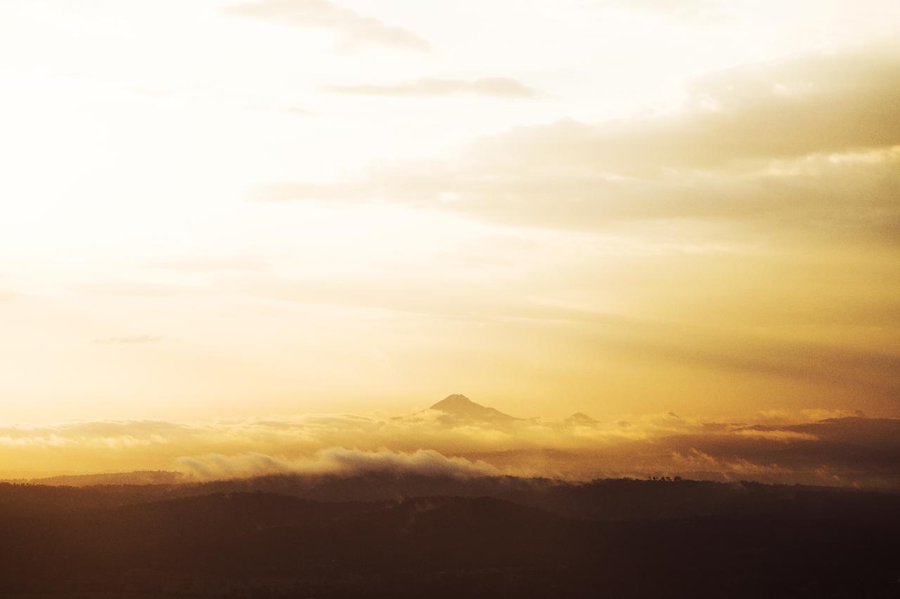 Gold Coast Tamborine Mountain Shuttle Service Pineapple Tours