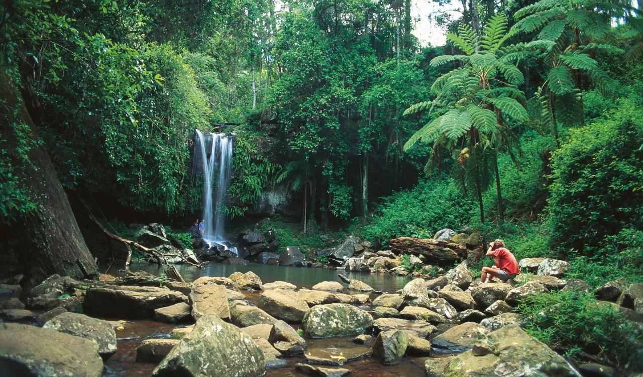 Tamborine Mountain (Park & Ride) - create your own adventure
