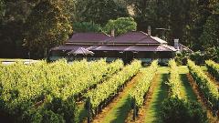 Private Canungra Valley Food and Wine Trail