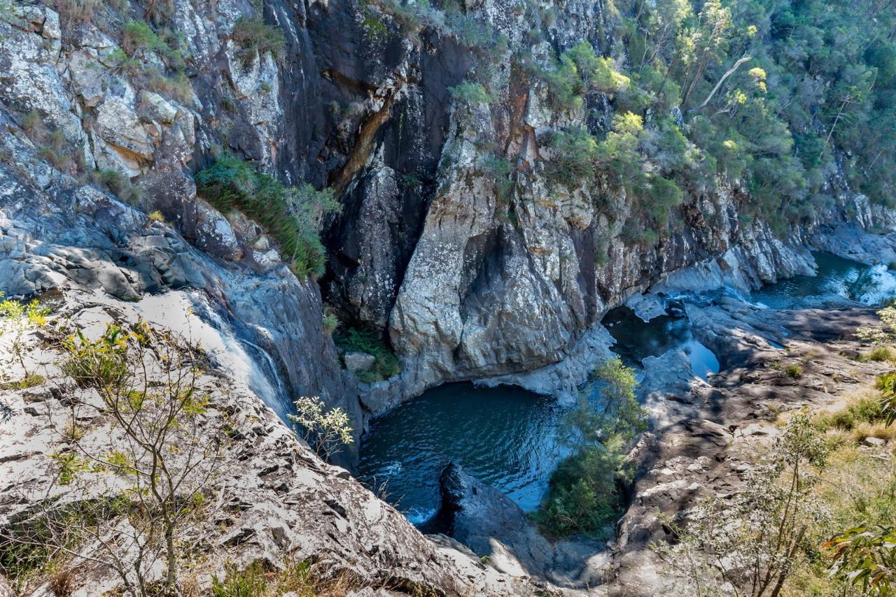 Tamborine Mountain - National Parks Pass + Hop On Hop Off - From Brisbane