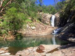 Tamborine Mountain - Hop On Hop Off - From Brisbane