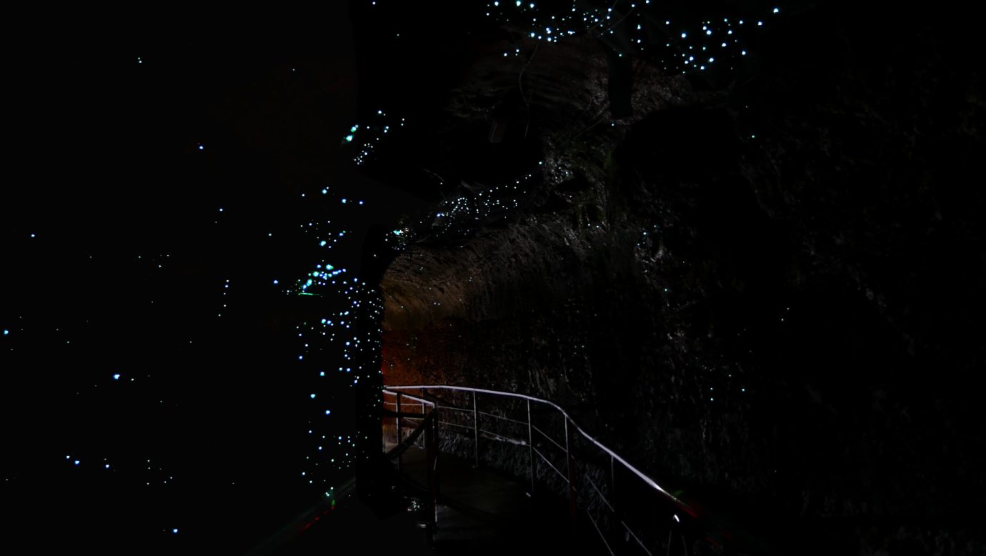 Groups - Tamborine Mountain Rainforest Skywalk + Glow Worm Cave Tour + Waterfalls or Shopping