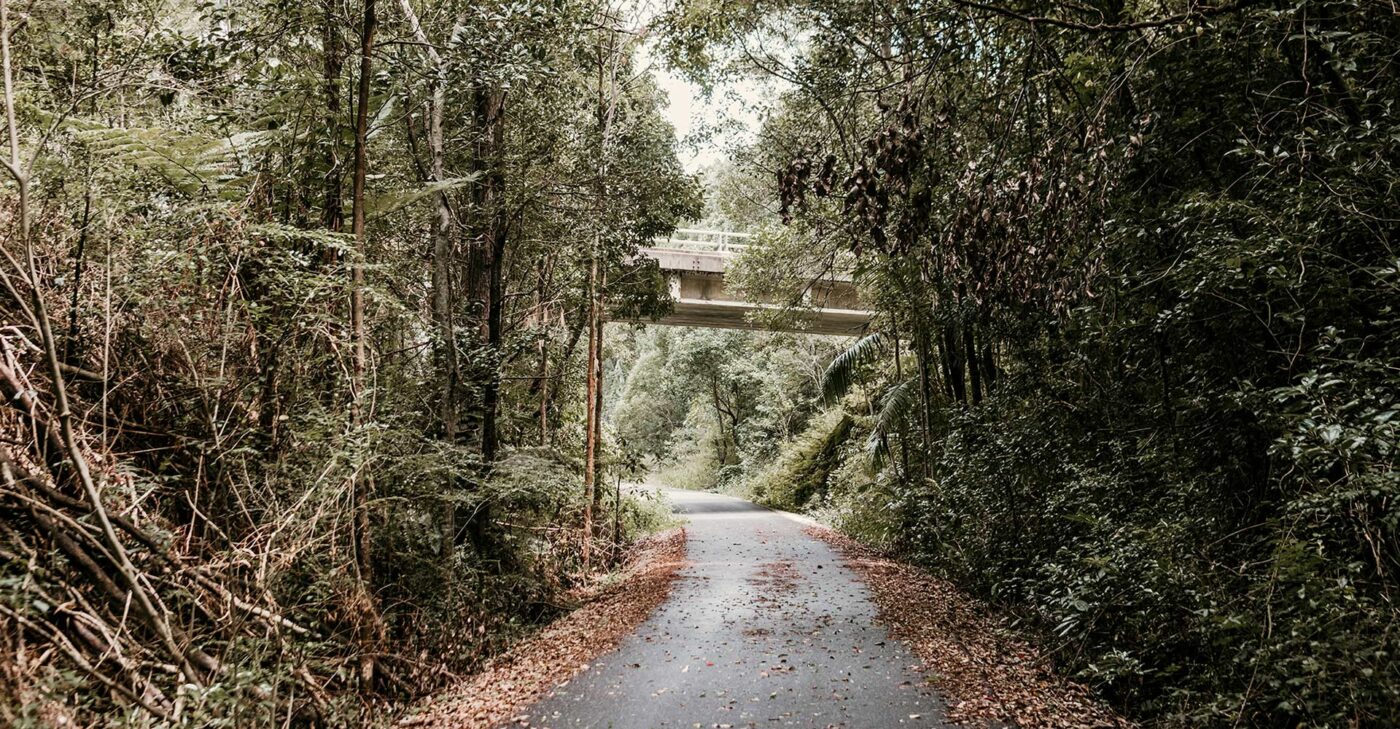 Gold Coast to Northern Rivers Rail Trial + Hop on Hop off