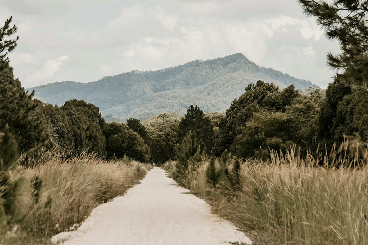 Gold Coast to Northern Rivers Rail Trial + Hop on Hop off