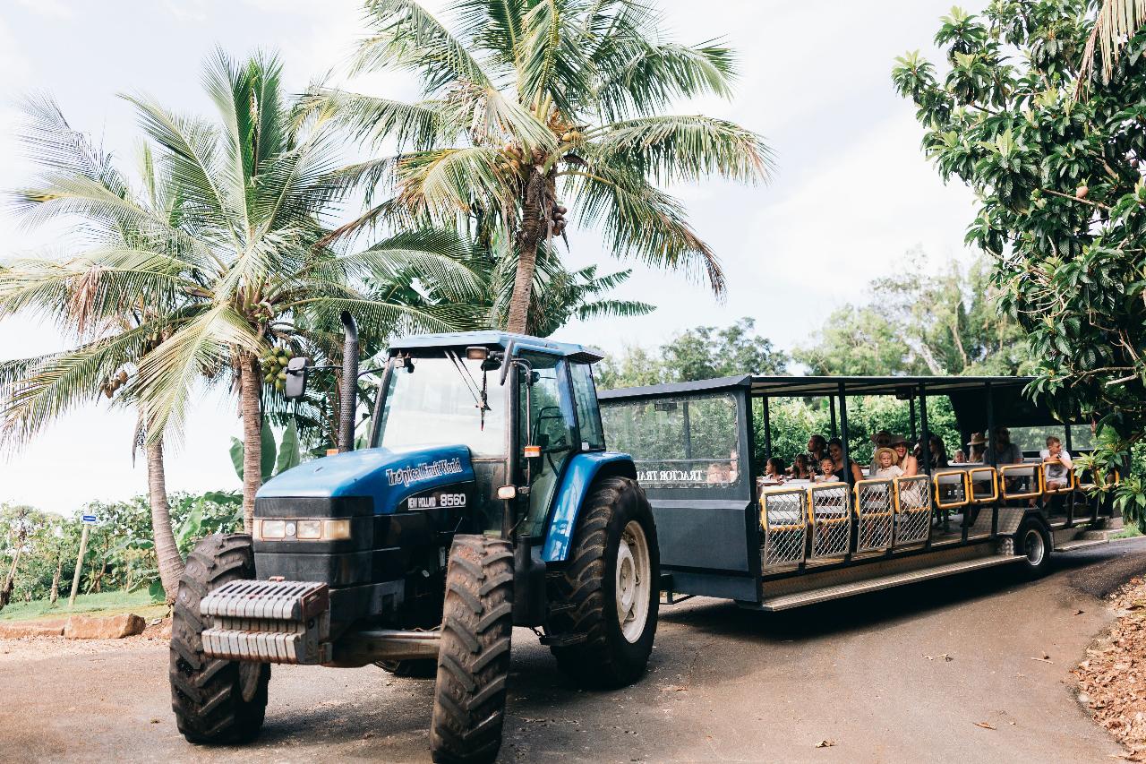 Tropical Fruit World Shuttle Service