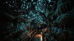 Tamborine Mountain - Hop on Hop off + Glow Worm Tour -  From Brisbane