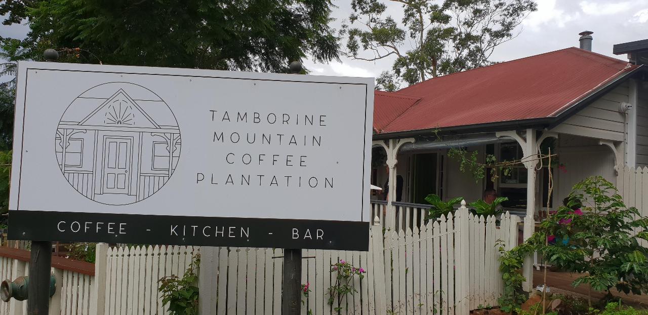 Boutique Coffee Plantation and Winery Tour and Tasting Pineapple