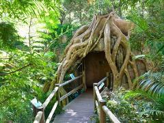 Tamborine Mountain - Hop On Hop Off + Glow Worm Tour & Rainforest Skywalk Entrance - From Brisbane