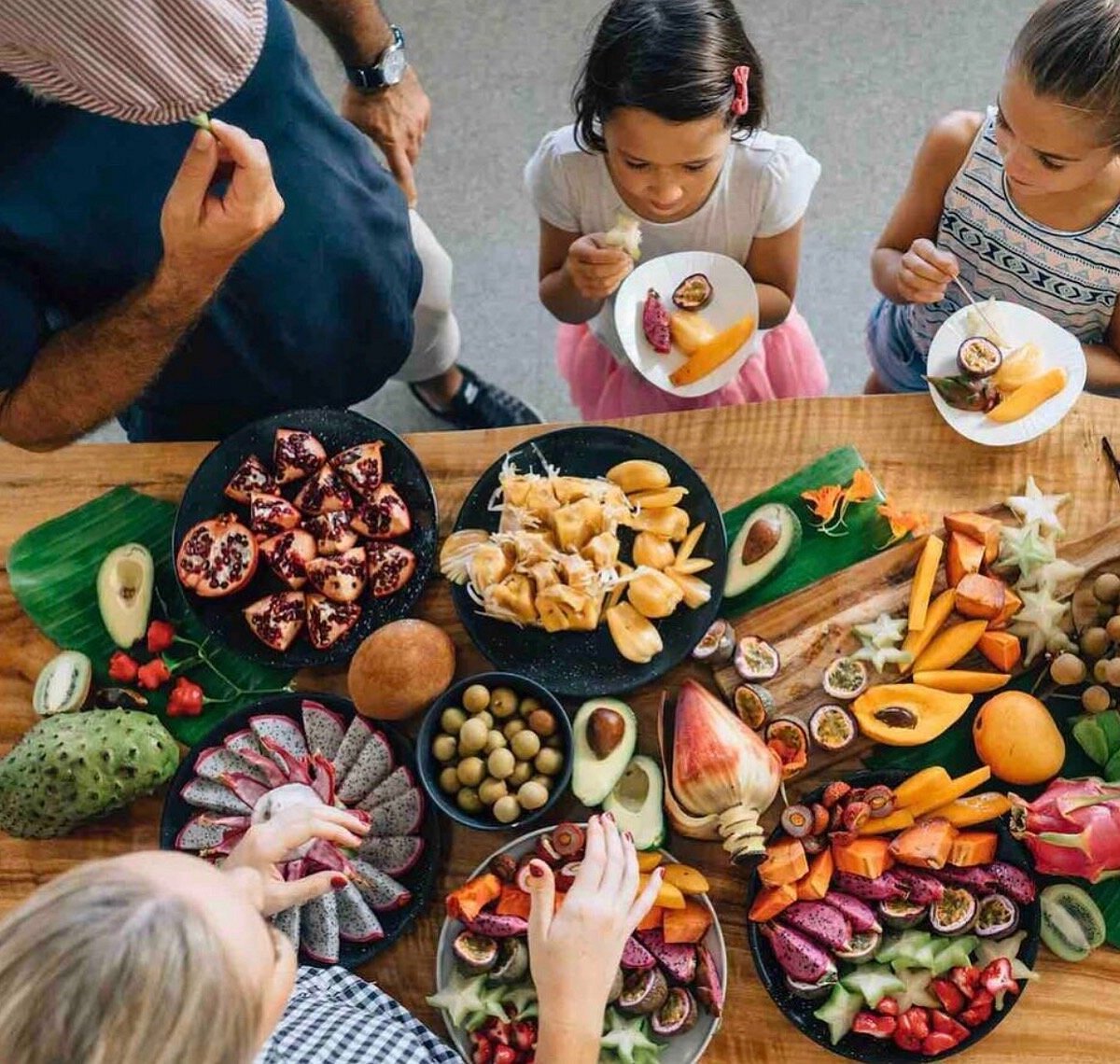 Gold Coast to Northern Rivers Rail Trial + Hop on Hop off