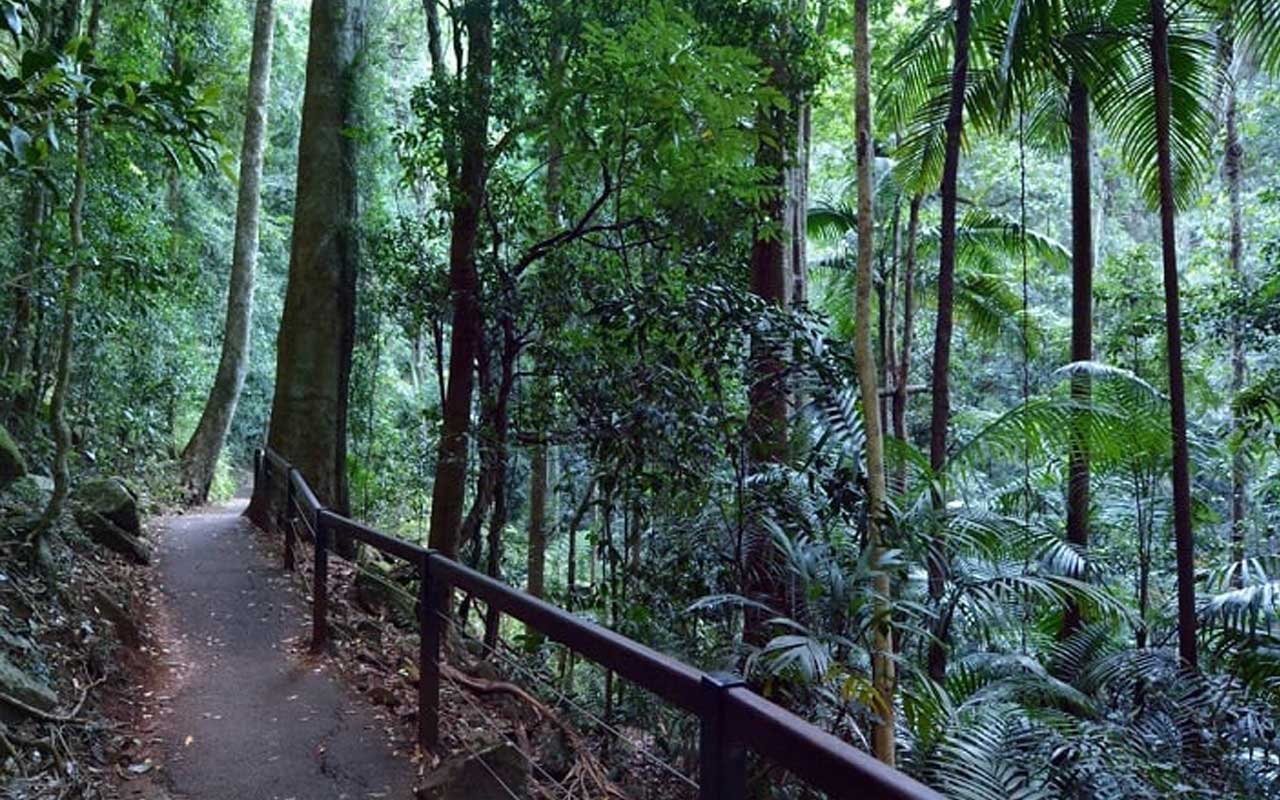 Hinterland Explorer Multi Day Pass