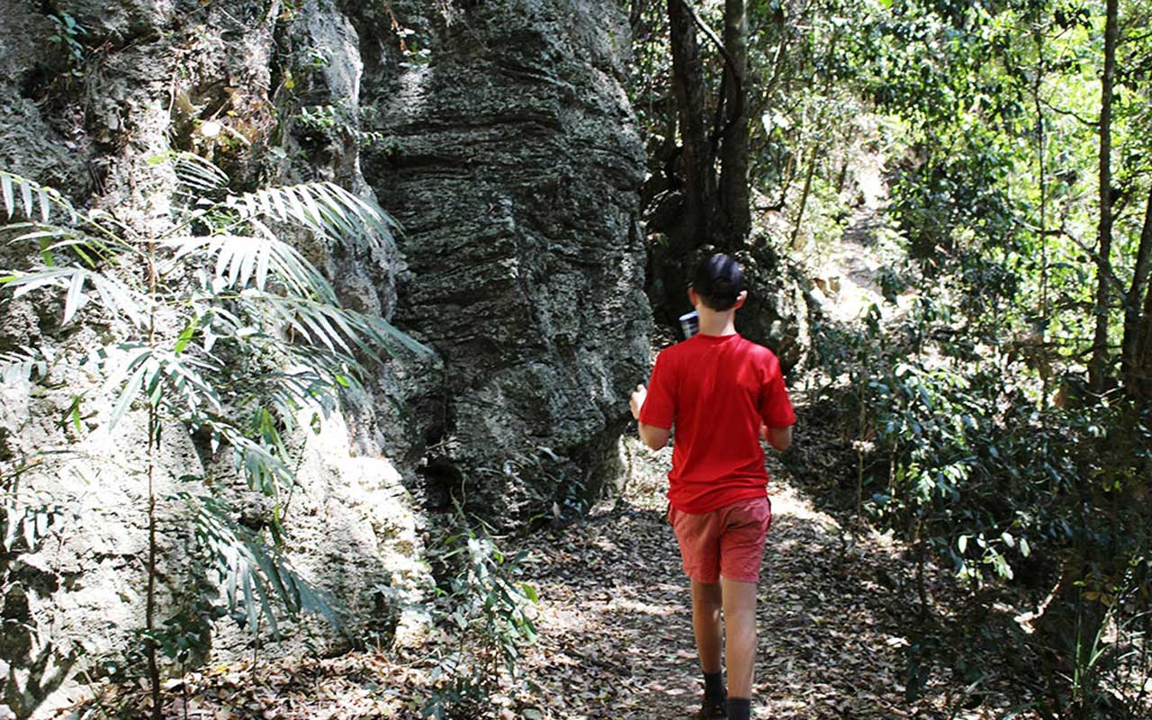 Hinterland Explorer Multi Day Pass