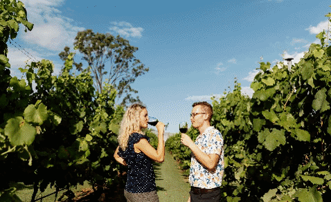 Pineapple Tours - Luxury Tours and Experiences: Tamborine Mountain Wine Tasting Tour — From Brisbane - Photo 1